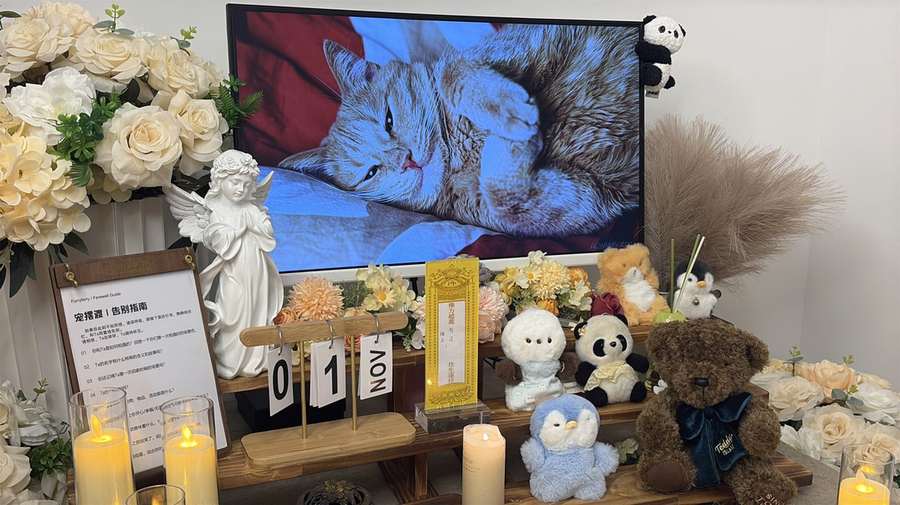 宠物告别仪式